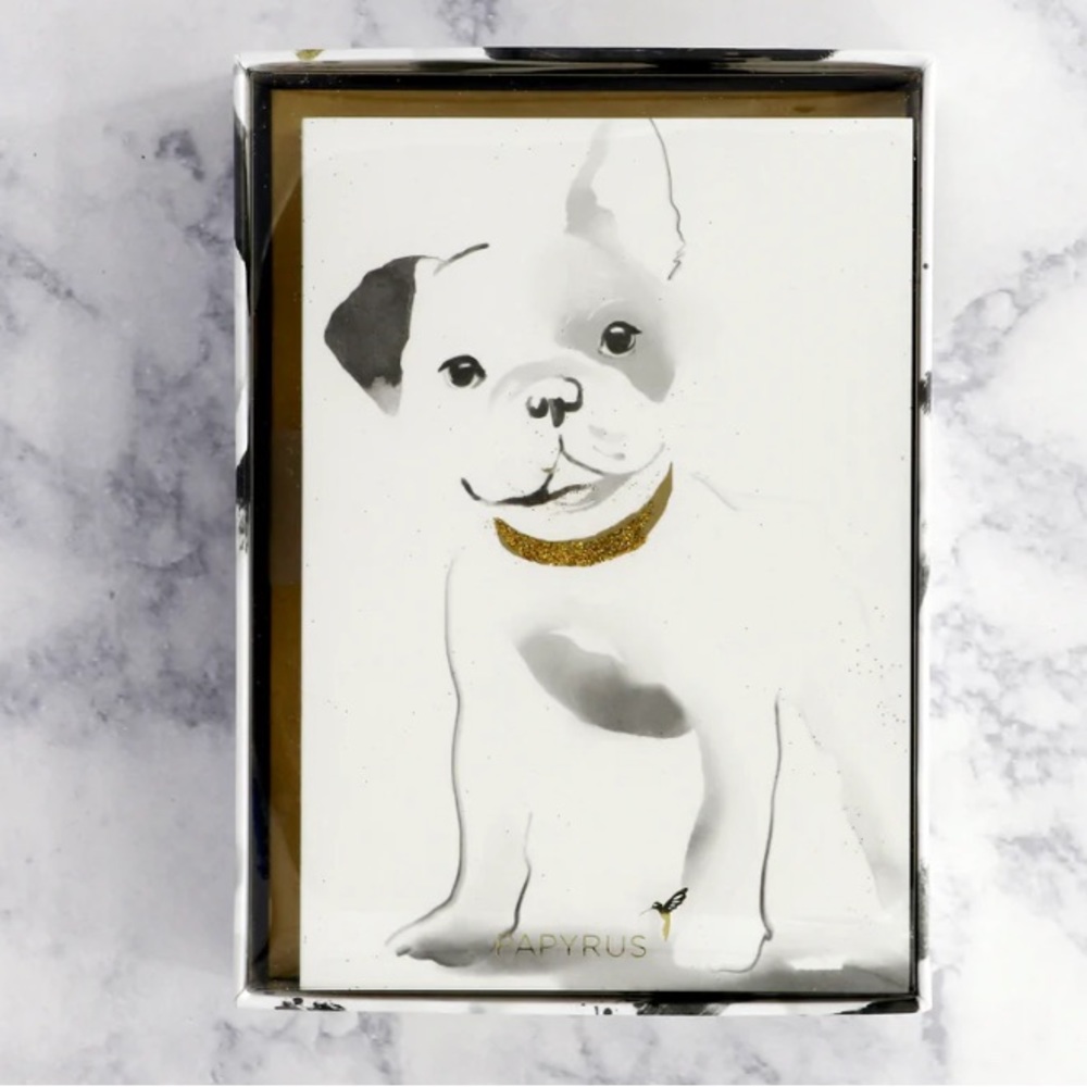 Papyrus Frenchie Bull Dog Blank Note Cards, 12 cards/Envelopes